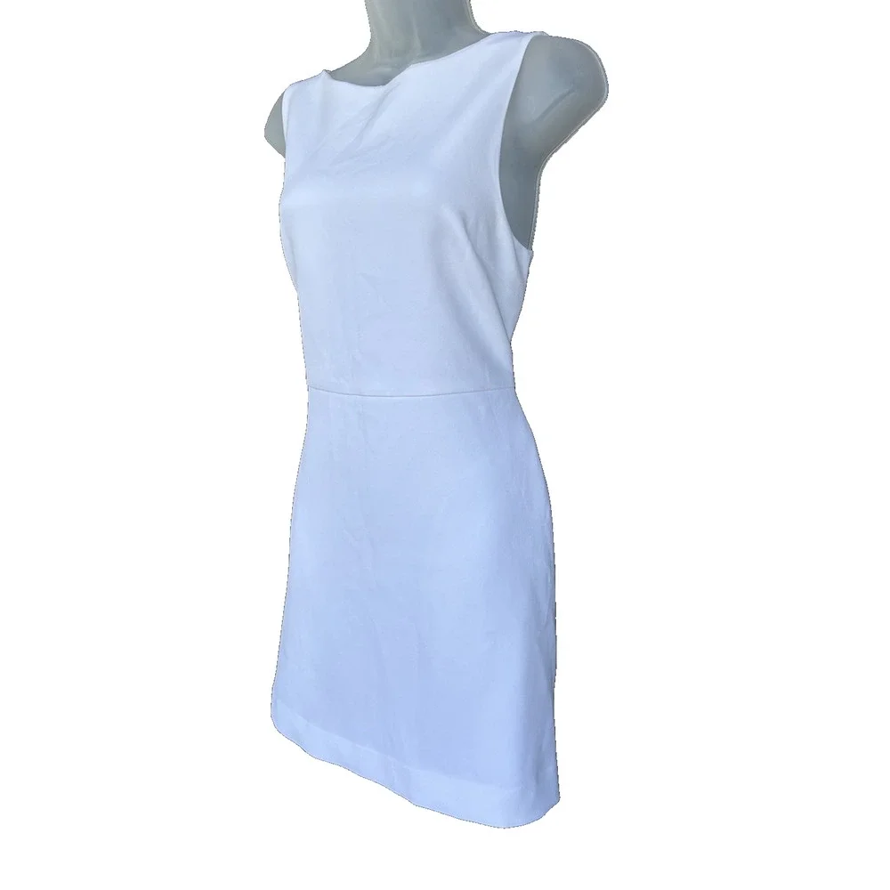 Aritzia Babaton Bond Dress Size 10 White Sorority Rush Fit & Flare Mini Pockets